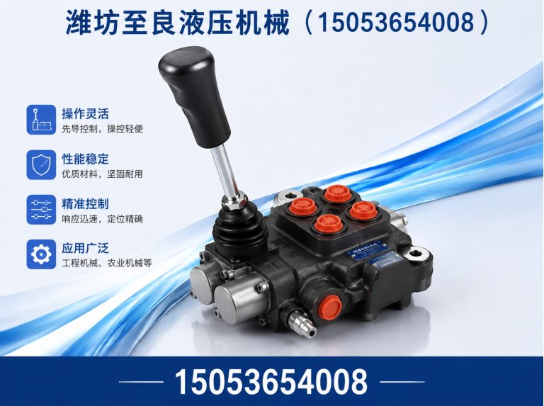 潍城区装载机液压泵展示图